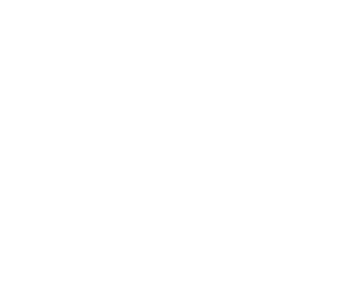 Reseau Access Network